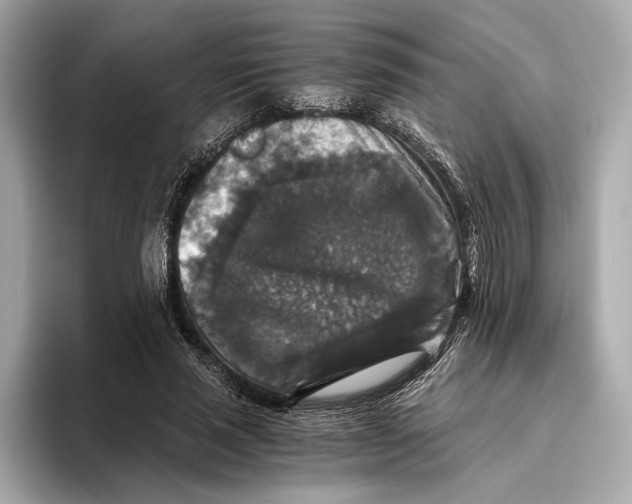 X0000093490637200711020952