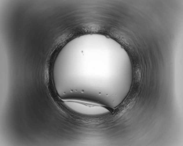 X0000093490638200711020952