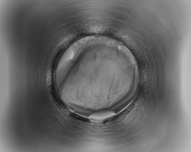 X0000093490640200711020952