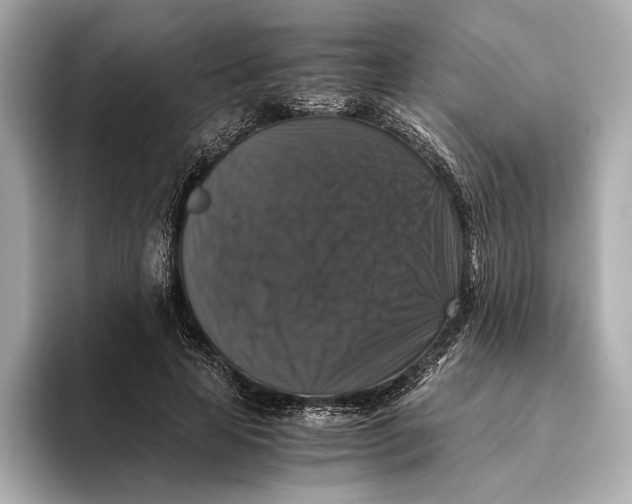 X0000093490641200711020952