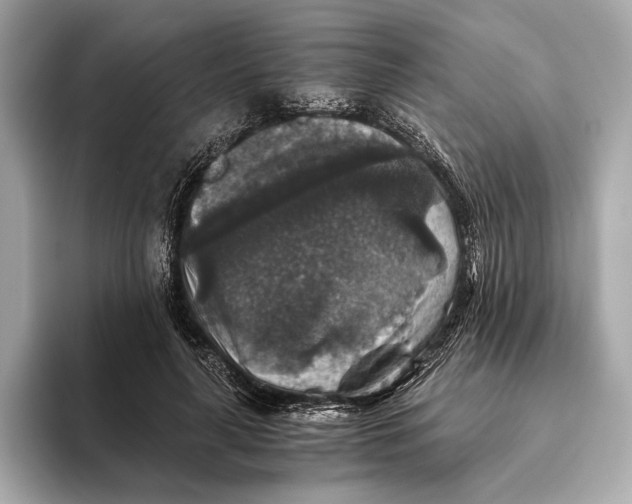 X0000093490643200711020952