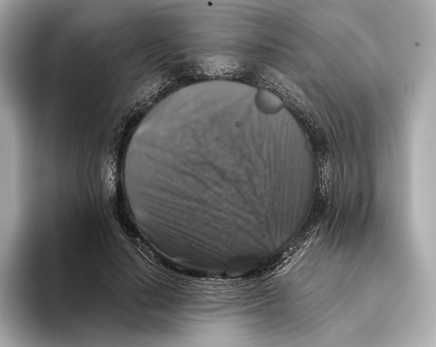 X0000093490644200711020952