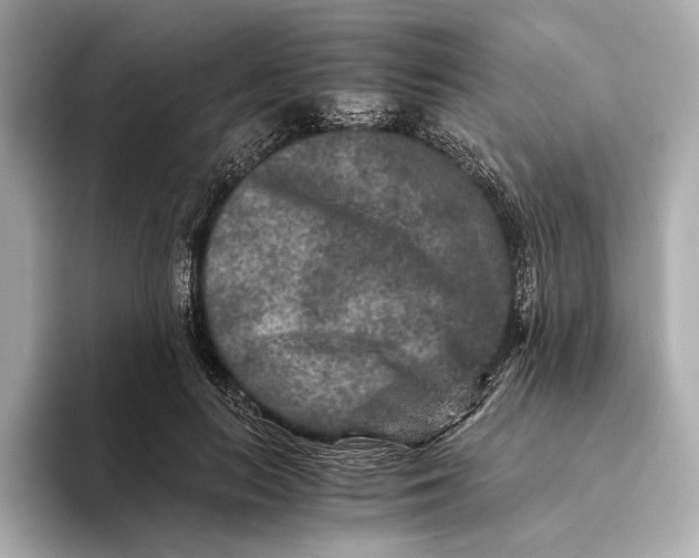 X0000093490647200711020952