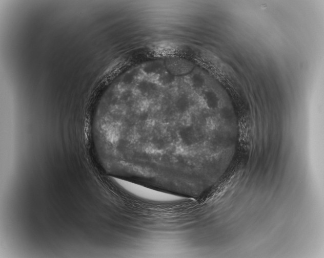 X0000093490648200711020952