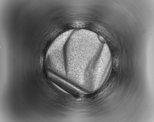 X0000093490652200711020952