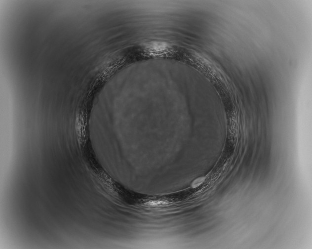 X0000093490653200711020952