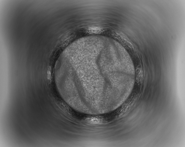 X0000093490655200711020952