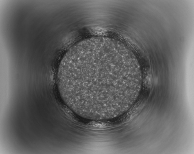 X0000093490658200711020952