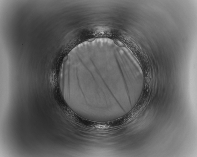 X0000093490659200711020952