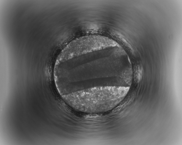 X0000093490661200711020953