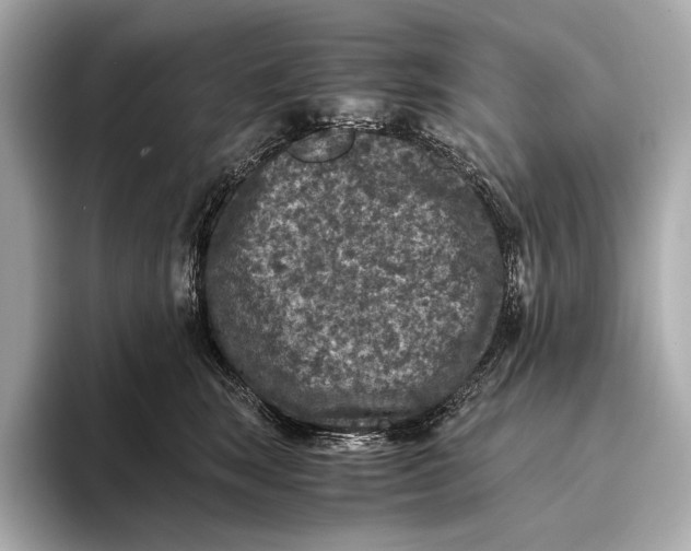 X0000093490663200711020953