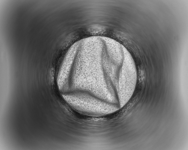 X0000093490664200711020953