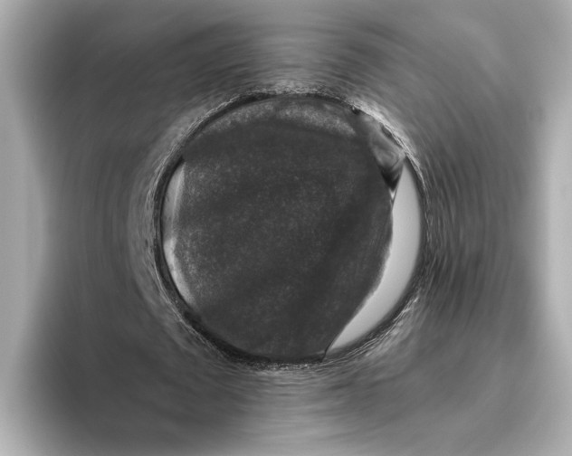 X0000093490673200711020952