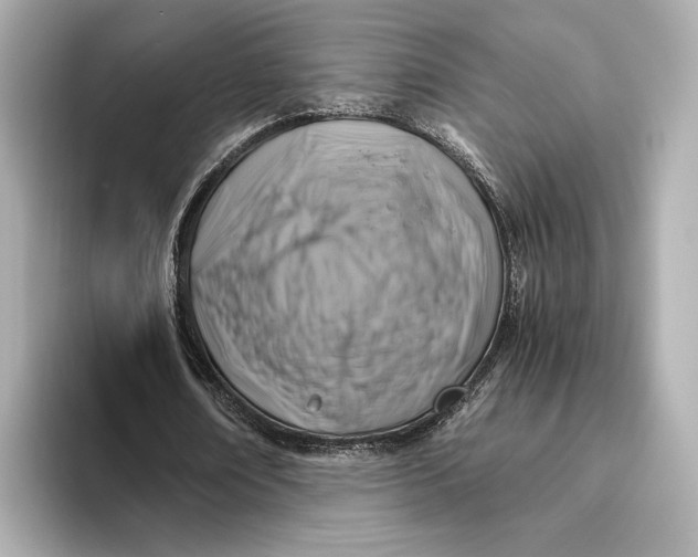 X0000093490674200711020952