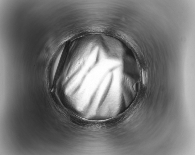 X0000093490675200711020952