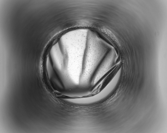 X0000093490676200711020952