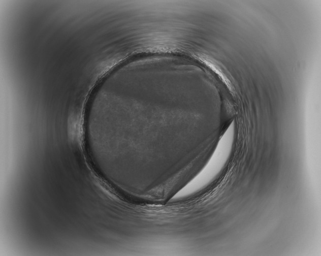 X0000093490677200711020952