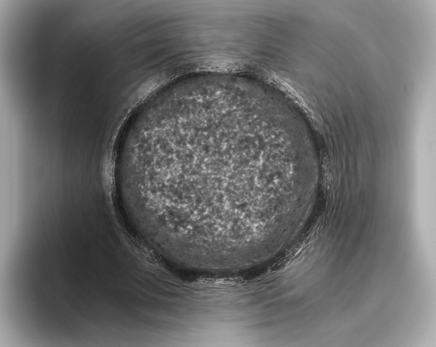 X0000093490679200711020952