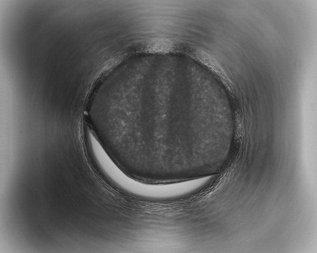 X0000093490681200711020952