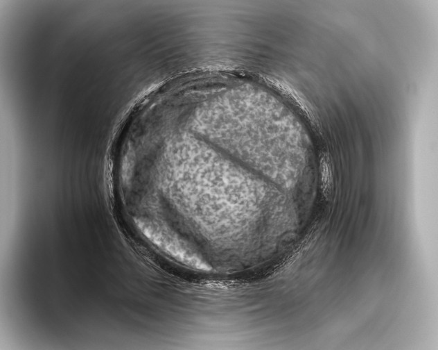 X0000093490684200711020952