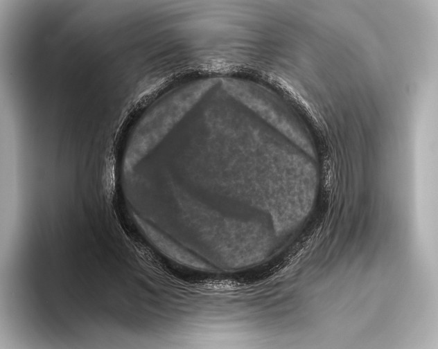 X0000093490685200711020952