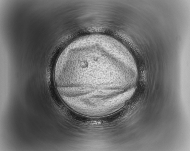 X0000093490687200711020952