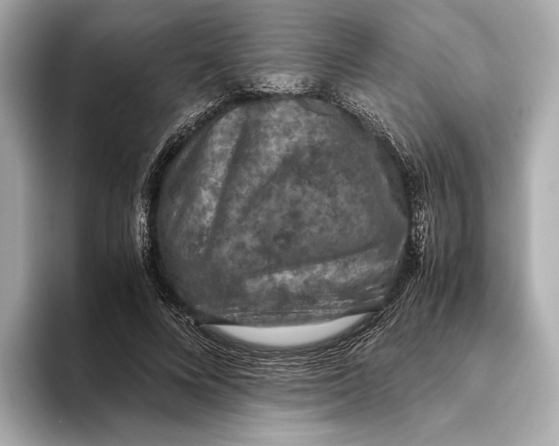 X0000093490688200711020952