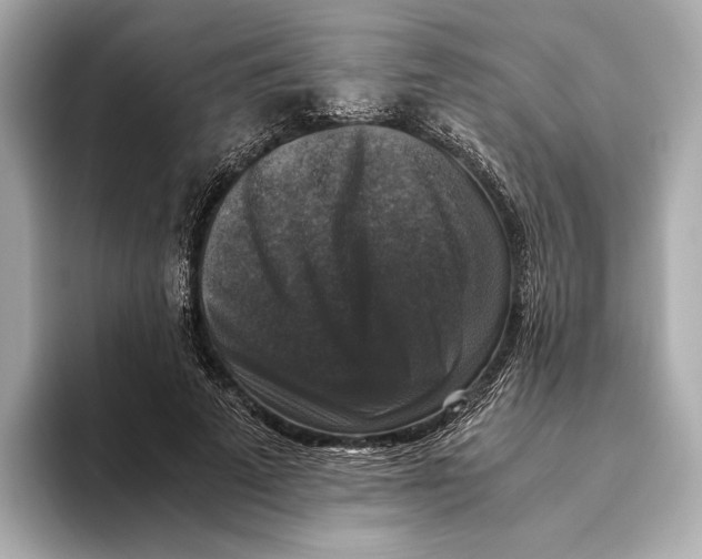 X0000093490689200711020952