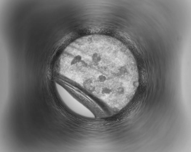 X0000093490691200711020952