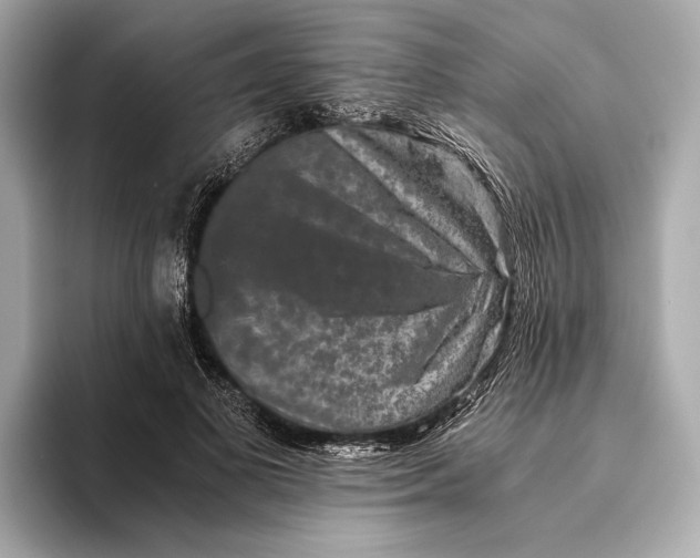 X0000093490693200711020952