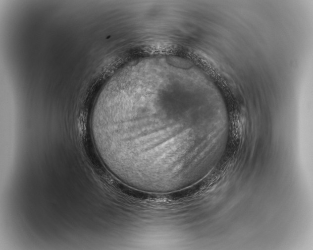 X0000093490695200711020952