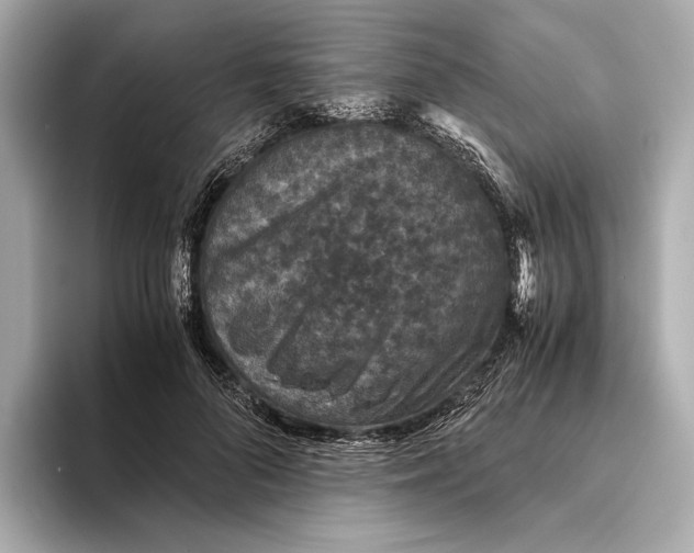 X0000093490696200711020952