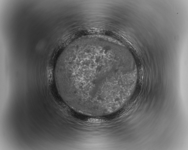 X0000093490699200711020952