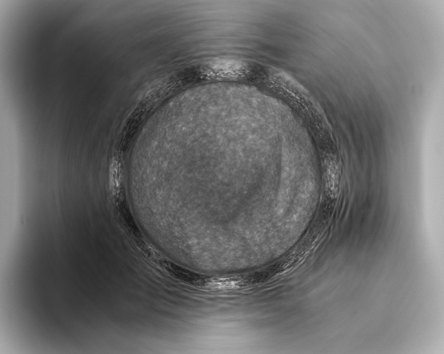 X0000093490701200711020952