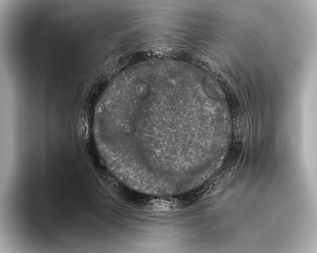 X0000093490703200711020952