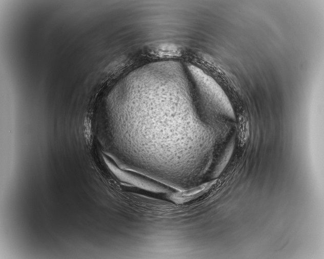 X0000093490704200711020952