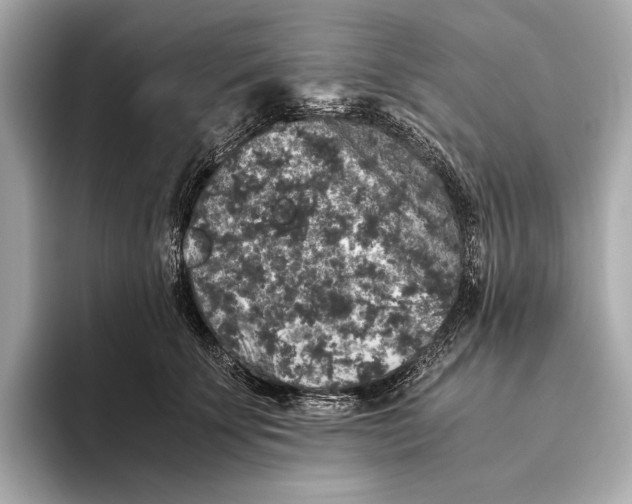 X0000093490707200711020952