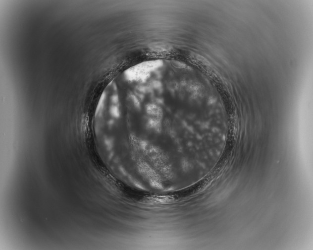 X0000093490711200711020952