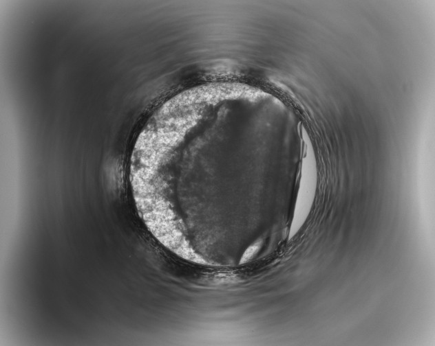 X0000093490715200711020952