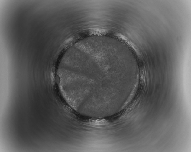 X0000093490716200711020952