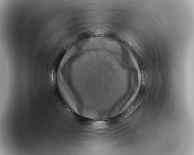 X0000093490718200711020952