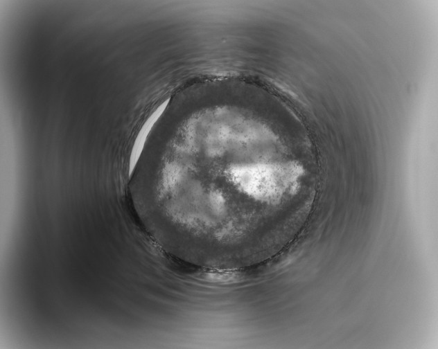 X0000093490720200711020952