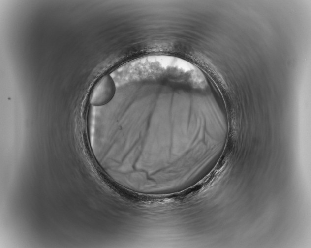 X0000093490721200711020951