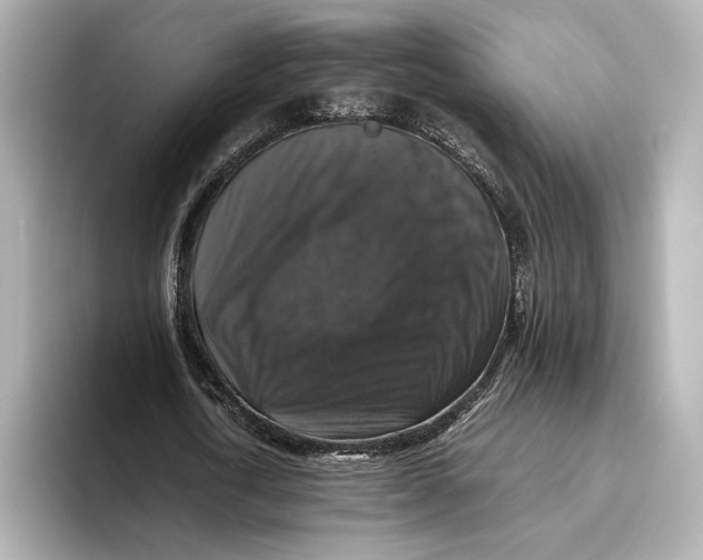 X0000093490722200711020951