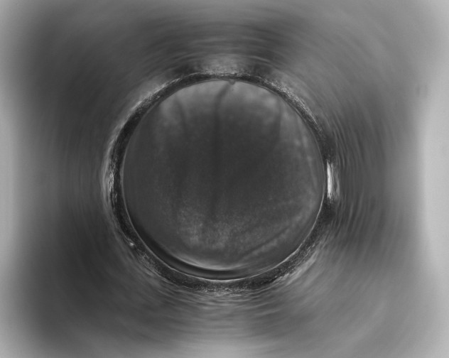 X0000093490723200711020951