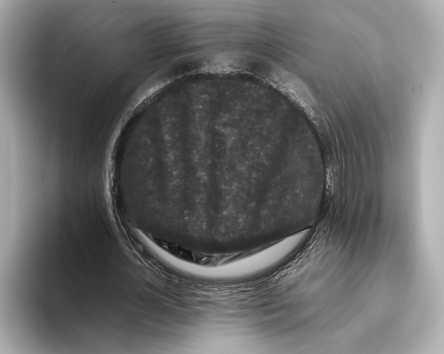 X0000093490724200711020951