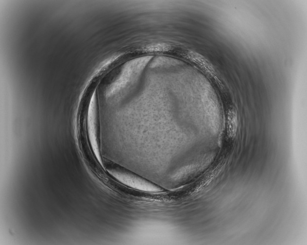 X0000093490726200711020951