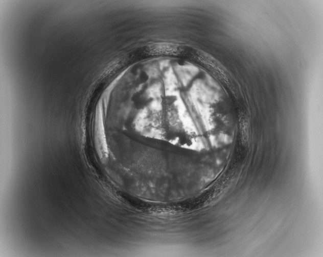 X0000093490729200711020951