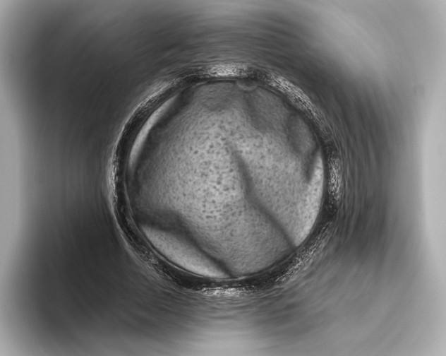 X0000093490730200711020951