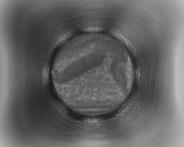 X0000093490735200711020951